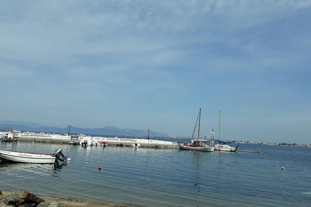 Amazing Sea View-Neos Pyrgos Beach -Evoia Greece Неос-Пірґос Екстер'єр фото