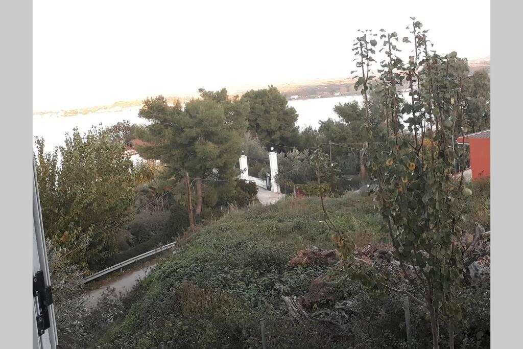 Amazing Sea View-Neos Pyrgos Beach -Evoia Greece Неос-Пірґос Екстер'єр фото