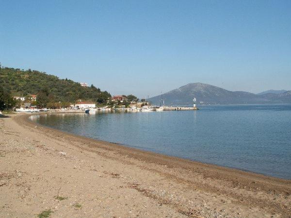 Amazing Sea View-Neos Pyrgos Beach -Evoia Greece Неос-Пірґос Екстер'єр фото